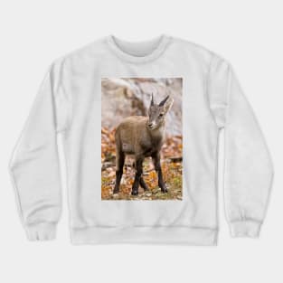 Baby Ibex Crewneck Sweatshirt